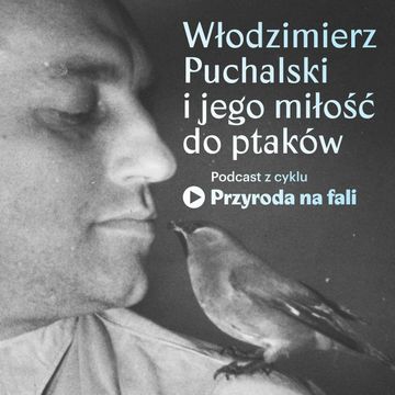 Włodzimierz Puchalski i jego miłość do ptaków audiobook, Międzynarodowe Centrum Kultury
