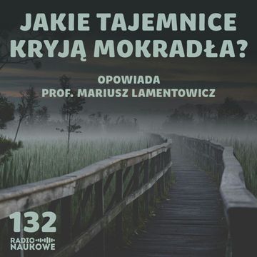 #132 Mokradła, bagna, torfowiska - portale między przeszłością a przyszłością | prof. Mariusz Lamentowicz audiobook, Karolina Głowacka