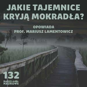 #132 Mokradła, bagna, torfowiska - portale między przeszłością a przyszłością | prof. Mariusz Lamentowicz, Karolina Głowacka