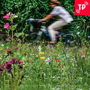 Chwalcie łąki!, Maciej Podyma, Marta Filipiuk-Michniewicz, Michał Kuźmiński, Natalia Podyma