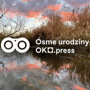 Kiedy po cichu umiera mała rzeka, jesteśmy bliżej końca świata. Reportaż o ważnych rzeczkach, OKO.press