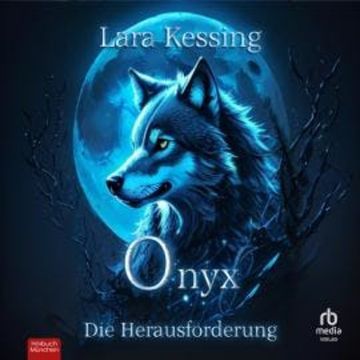 Onyx - Die Herausforderung audiobook, Lara Kessing
