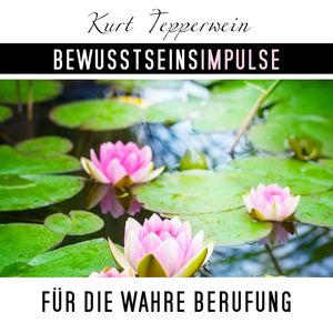 Bewusstseinsimpulse für die wahre Berufung, Kurt Tepperweink