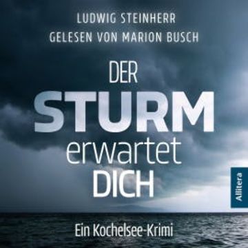 Der Sturm erwartet Dich audiobook, Ludwig Steinherr