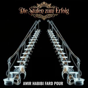 Die Stufen zum Erfolg, Amir Habibi Fard Pour