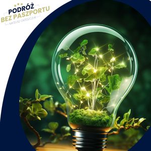 Indie i transformacja energetyczna? Pragmatyzm | Komentarz w Podróży, Mateusz Grzeszczuk