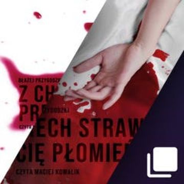 Komisarz Niedźwiecki