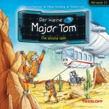13: Die Wüste lebt audiobook, Bernd Flessner