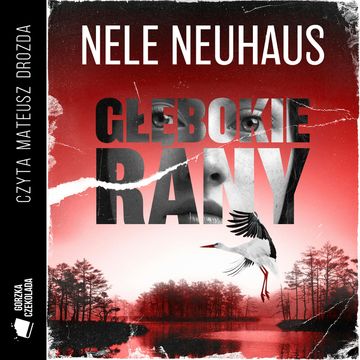 Głębokie rany audiobook, Nele Neuhaus