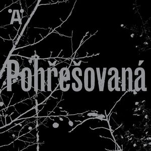 Pohřešovaná E04, Petr Hátle