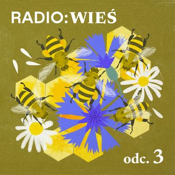 Radio Wieś: Nowoczesna pasieka jest jak laboratorium. Jak się żyje mieszczuchom na wsi? audiobook, OKO.press