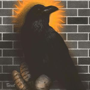 Brief #145 – Robotyczne psy, meksykańskie kartele i ekofryzjerzy, Outride.rs