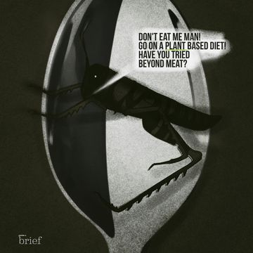 Brief #96 – Sztuczne słońce, schmoozing i akustyczna terapia klastrowa audiobook, Outride.rs