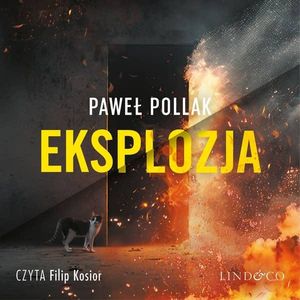 Eksplozja. Śledczy z Zakątka. Tom 2, Paweł Pollak