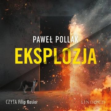 Eksplozja. Śledczy z Zakątka. Tom 2 audiobook, Paweł Pollak