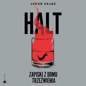 HALT. Zapiski z domu trzeźwienia, Jakub Zając