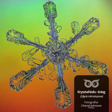 [12] Dlaczego zimą pada śnieg? audiobook, Daniel Mróz