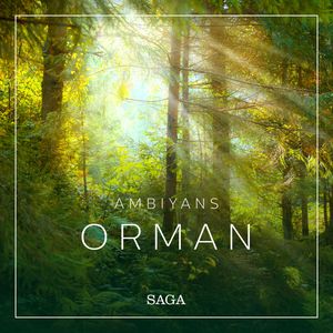 Ambiyans - Orman, Rasmus Broe