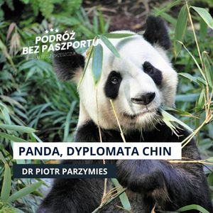 Dlaczego panda to najlepszy dyplomata Chin?, Mateusz Grzeszczuk