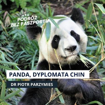 Dlaczego panda to najlepszy dyplomata Chin? audiobook, Mateusz Grzeszczuk