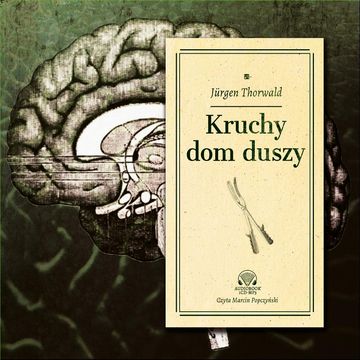 Kruchy dom duszy audiobook, Jurgen Thorwald