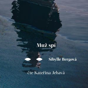 Muž spí, Sibylle Bergová
