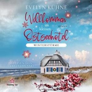 Winterstürme - Willkommen im kleinen Ostseehotel, Band 1 (ungekürzt), Evelyn Kühne