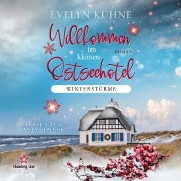 Winterstürme - Willkommen im kleinen Ostseehotel, Band 1 (ungekürzt) audiobook, Evelyn Kühne