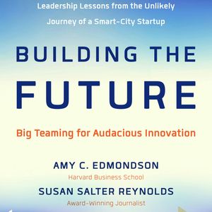 Building the Future - Big Teaming for Audacious Innovation (Unabridged), Amy Edmondson, Susan Salter Reynolds