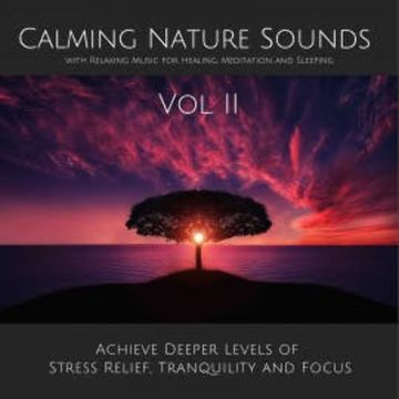 Calming Nature Sounds Vol. II with Relaxing Music for Healing, Meditation and Sleeping audiobook, Yella A. Deeken