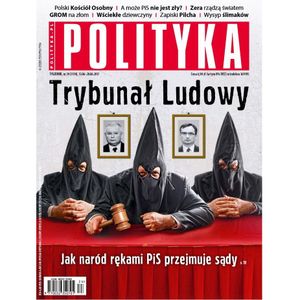 AudioPolityka Nr 24 z 13 czerwca 2017, Polityka