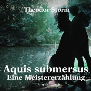 Aquis submersus - Eine Meistererzählung, Theodor Storm.