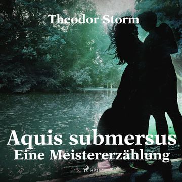 Aquis submersus - Eine Meistererzählung audiobook, Theodor Storm.