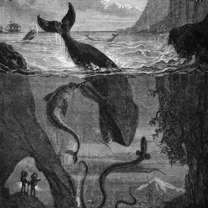 Dvacet tisíc mil pod mořem, Jules Verne