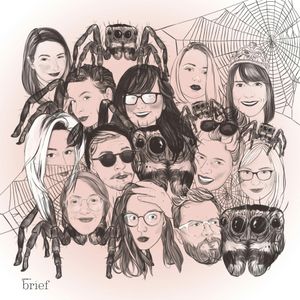 Brief #111 – Pająki pawie, język marszalski i ambasadorzy, Outride.rs