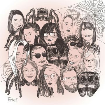 Brief #111 – Pająki pawie, język marszalski i ambasadorzy audiobook, Outride.rs