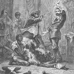 Hvězda Jihu, Jules Verne