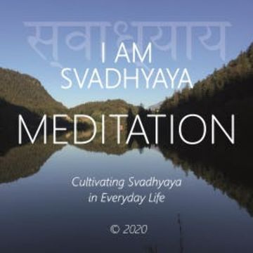 I Am Svadhyaya audiobook, Walter Berger