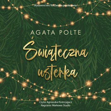 Świąteczna usterka audiobook, Agata Polte