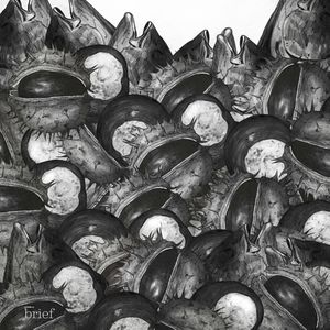 Brief #84 – Zmiany w oceanach, komputer kwantowy i nowe leki dla chorych na raka, Outride.rs