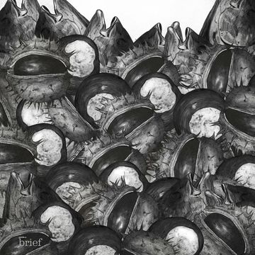 Brief #84 – Zmiany w oceanach, komputer kwantowy i nowe leki dla chorych na raka audiobook, Outride.rs