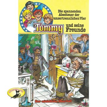Der nächtliche Überfall (Tommy und seine Freunde 9) audiobook, Anke Beckert