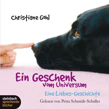 Ein Geschenk vom Universum - Eine Liebes-Geschichte audiobook, Christiane Gohl