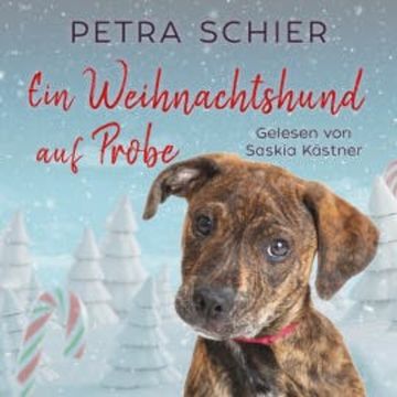 Ein Weihnachtshund auf Probe audiobook, Petra Schier