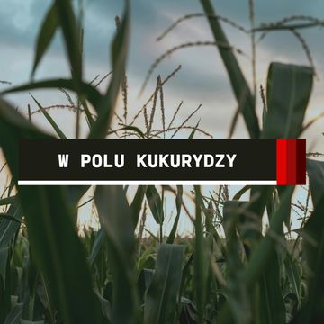 Express: W polu kukurydzy | Sebastian Sierpiński audiobook, Aleksandra Orłowska