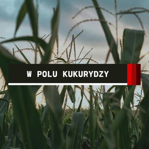 Express: W polu kukurydzy | Sebastian Sierpiński, Aleksandra Orłowska
