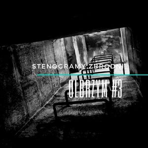 OLBRZYM #3 - kryminał, podcast, słuchowisko, antykryminał, Piotr Wielg