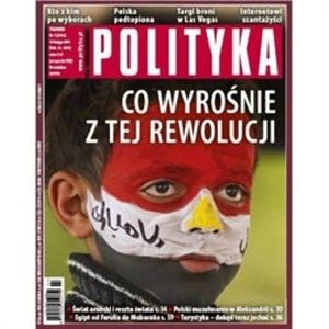 AudioPolityka Nr 7 z 9 lutego 2011 roku, Polityka