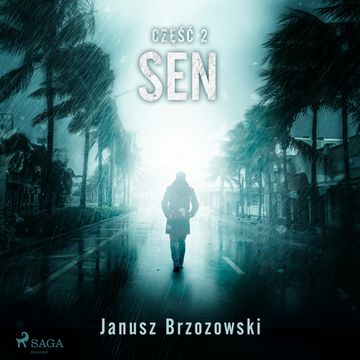 Sen audiobook, Janusz Brzozowski