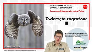 Zwierzęta zagrożone III / Bartosz Popczyński, Wszechnica FWW